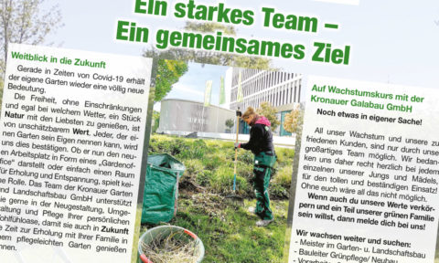 Stellenausschreibungen Archives - Kronauer Galabau