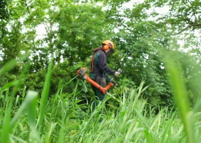 Das Kronauer Galabau-Team im Einsatz – Patricia beim Rasen trimmen mit dem Freischneider