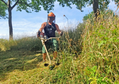 Entfernung von Gras mit Freischneider in einer öffentlichen Parkanlage