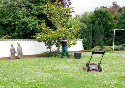 Privatgartenpflege mit Laubentfernung und Rückschnittarbeiten