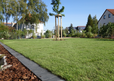 Gartengestaltung mit Baumpflanzung und Natursteinelementen